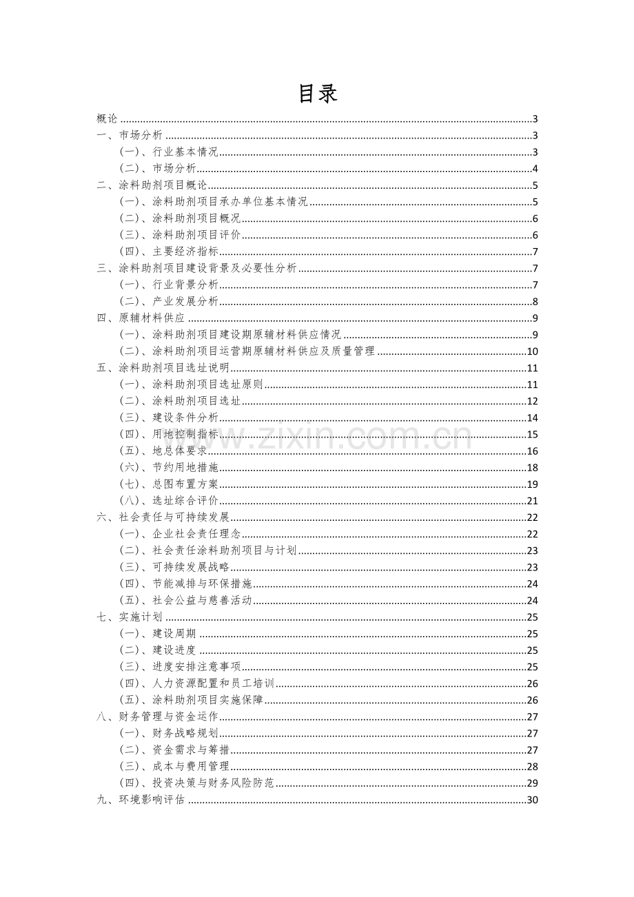 2024年涂料助剂项目深度研究分析报告.docx_第2页