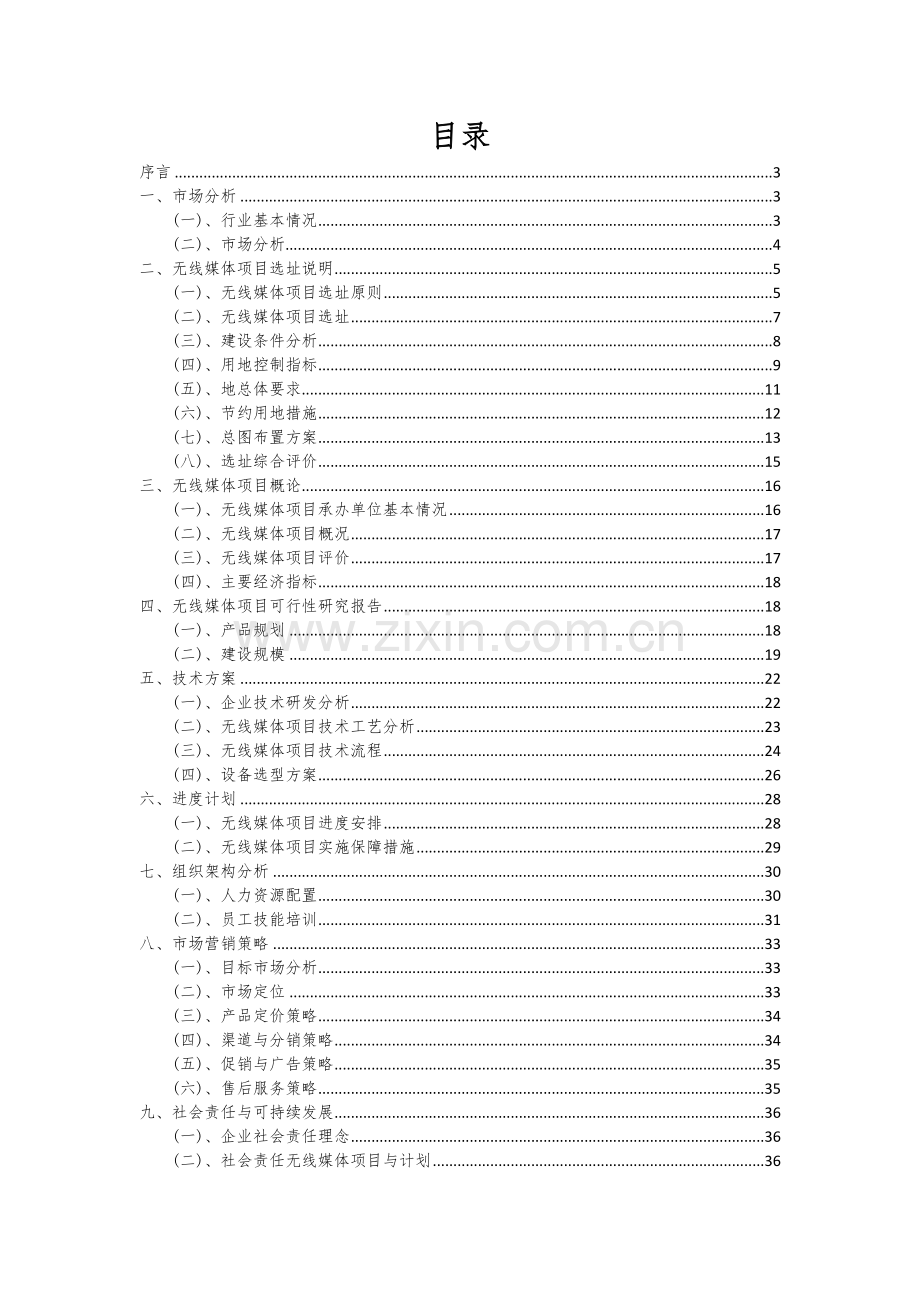 2024年无线媒体项目可行性研究报告.docx_第2页