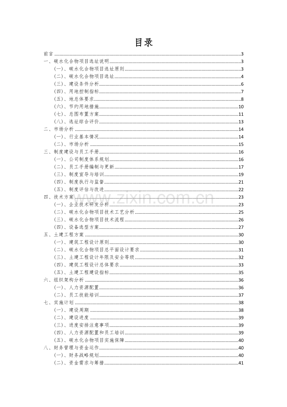 2024年碳水化合物项目可行性分析报告.docx_第2页