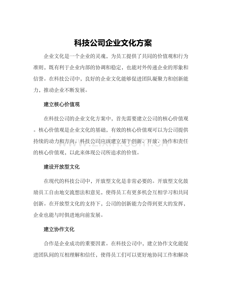 科技公司企业文化方案.docx_第1页