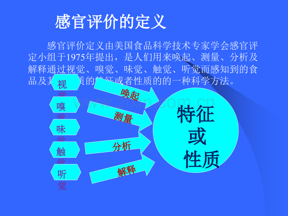 化妆品的感官评价.ppt_第3页