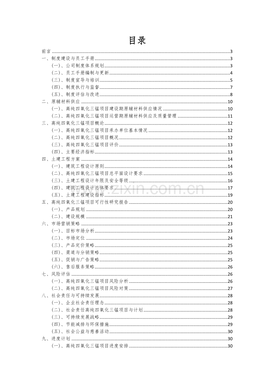 2024年高纯四氧化三锰项目深度研究分析报告.docx_第2页