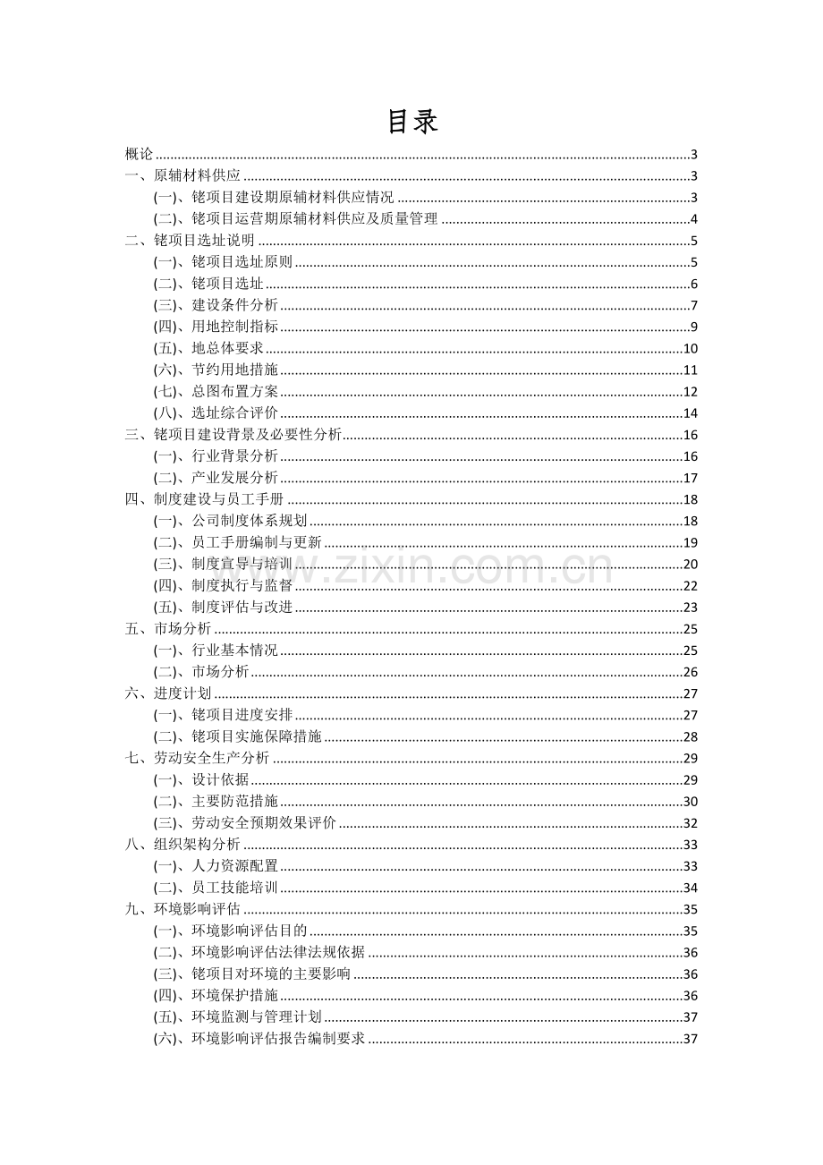 2024年铑项目深度研究分析报告.docx_第2页