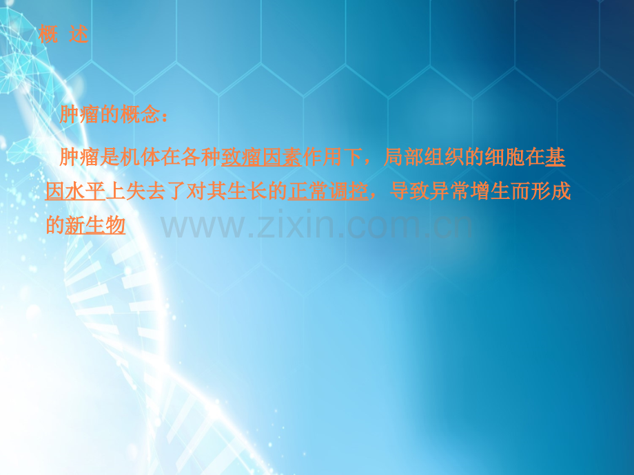 抗恶性肿瘤药物课件.ppt_第3页