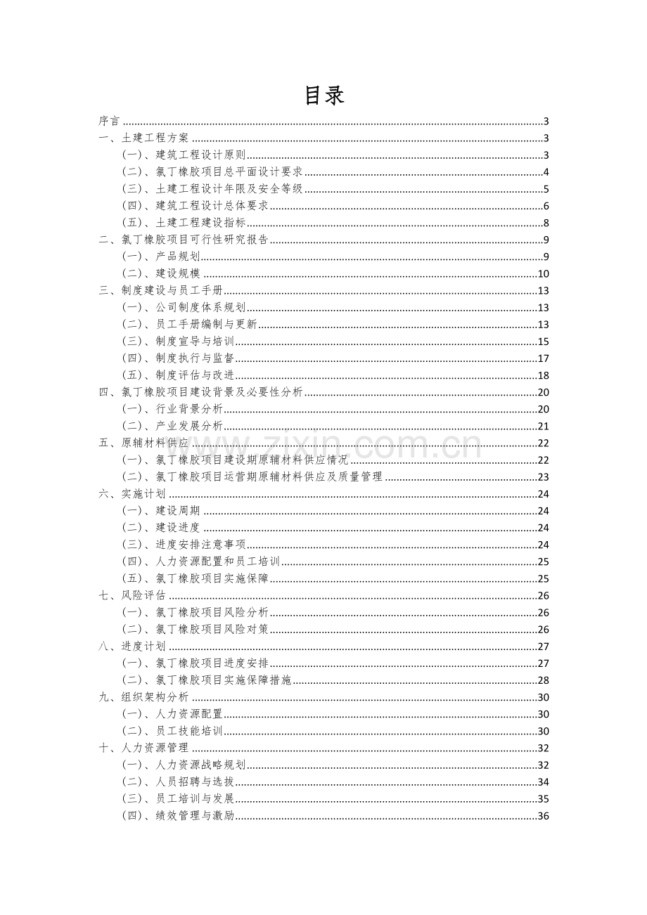 2024年氯丁橡胶项目投资分析及可行性报告.docx_第2页