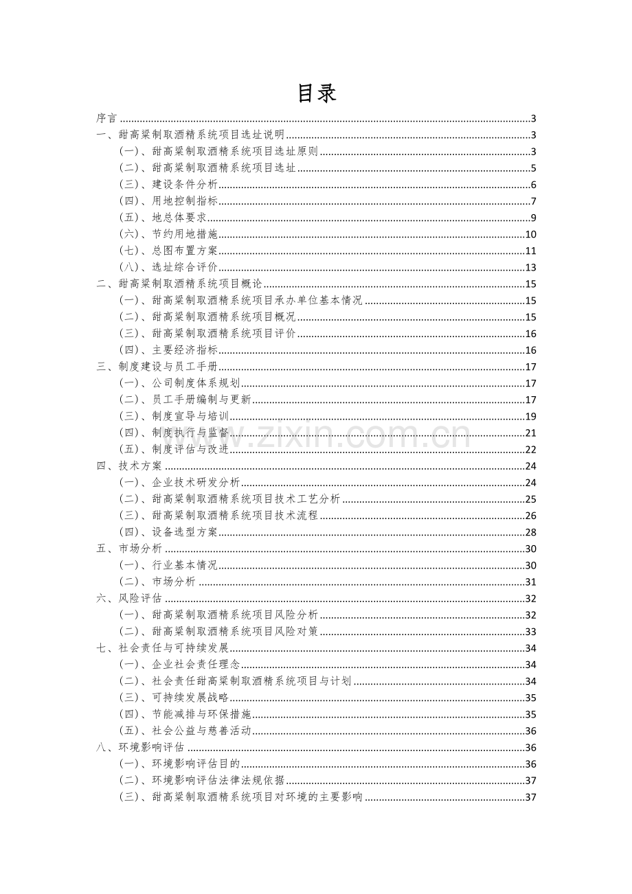 2024年甜高粱制取酒精系统项目可行性研究报告.docx_第2页