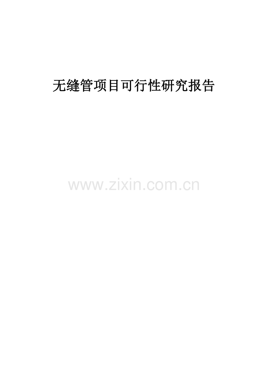 2024年无缝管项目可行性研究报告.docx_第1页