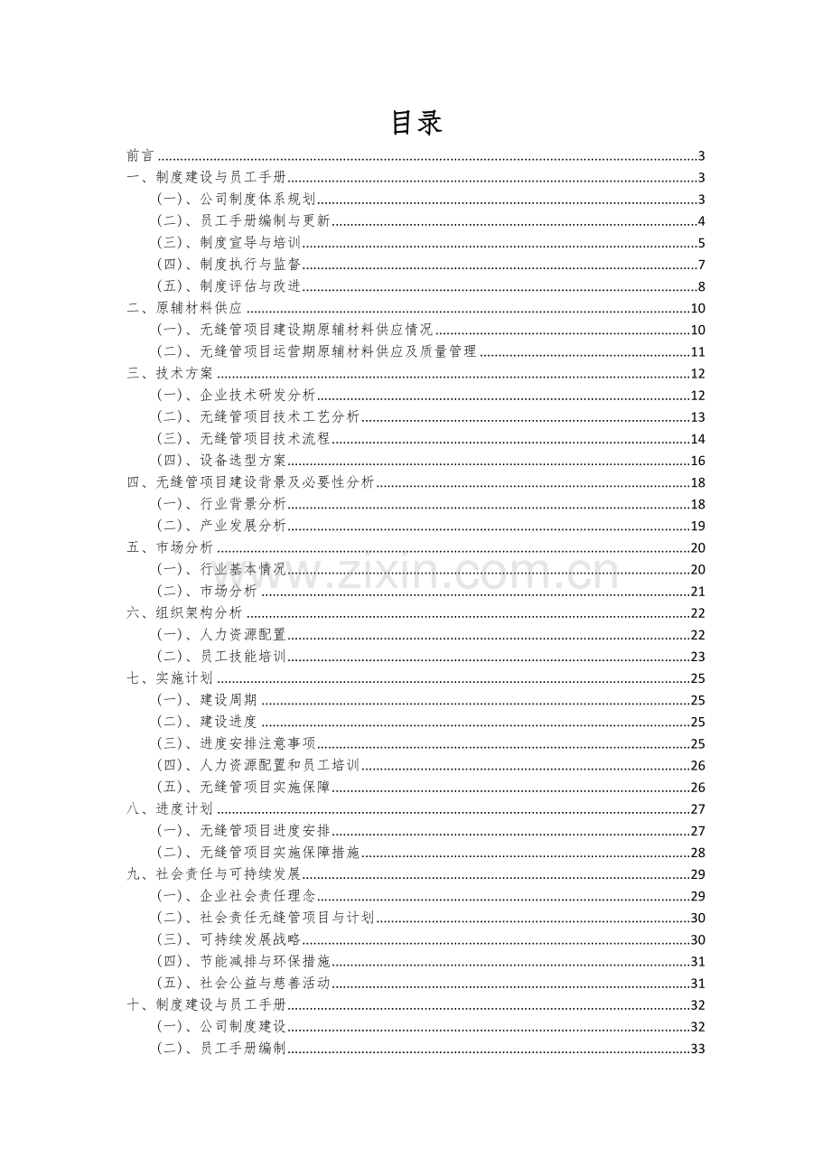 2024年无缝管项目可行性研究报告.docx_第2页