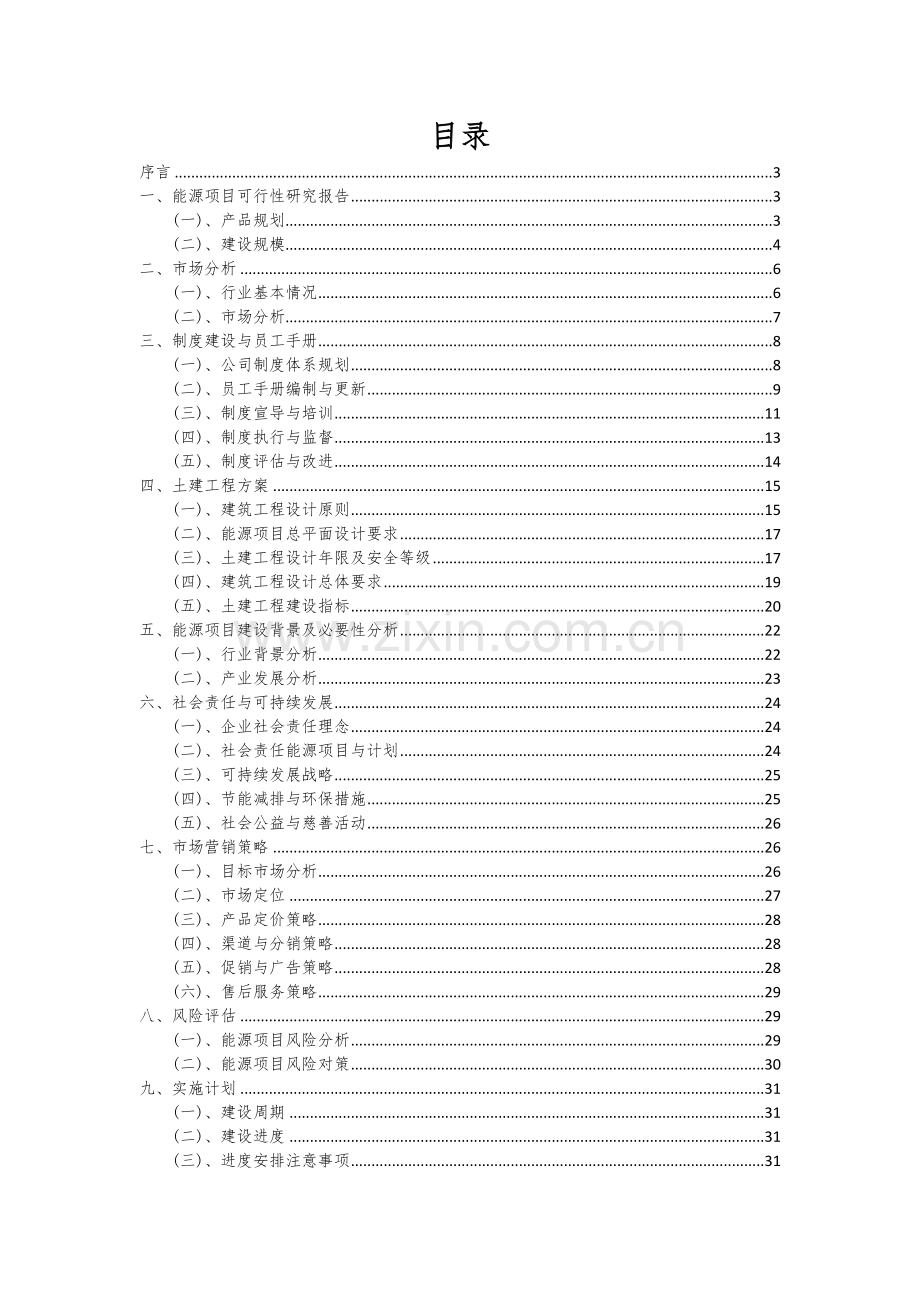 2024年能源项目深度研究分析报告.docx_第2页