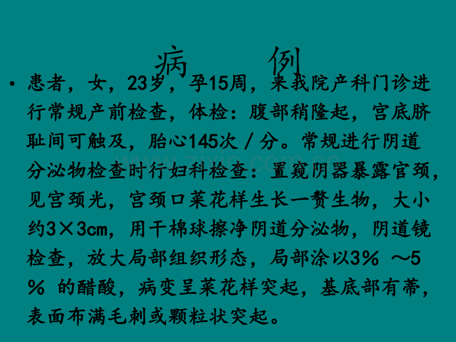 妊娠合并尖锐湿疣护理查房.ppt_第1页