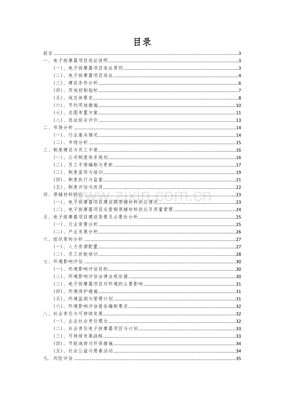 2024年电子按摩器项目深度研究分析报告.docx_第2页