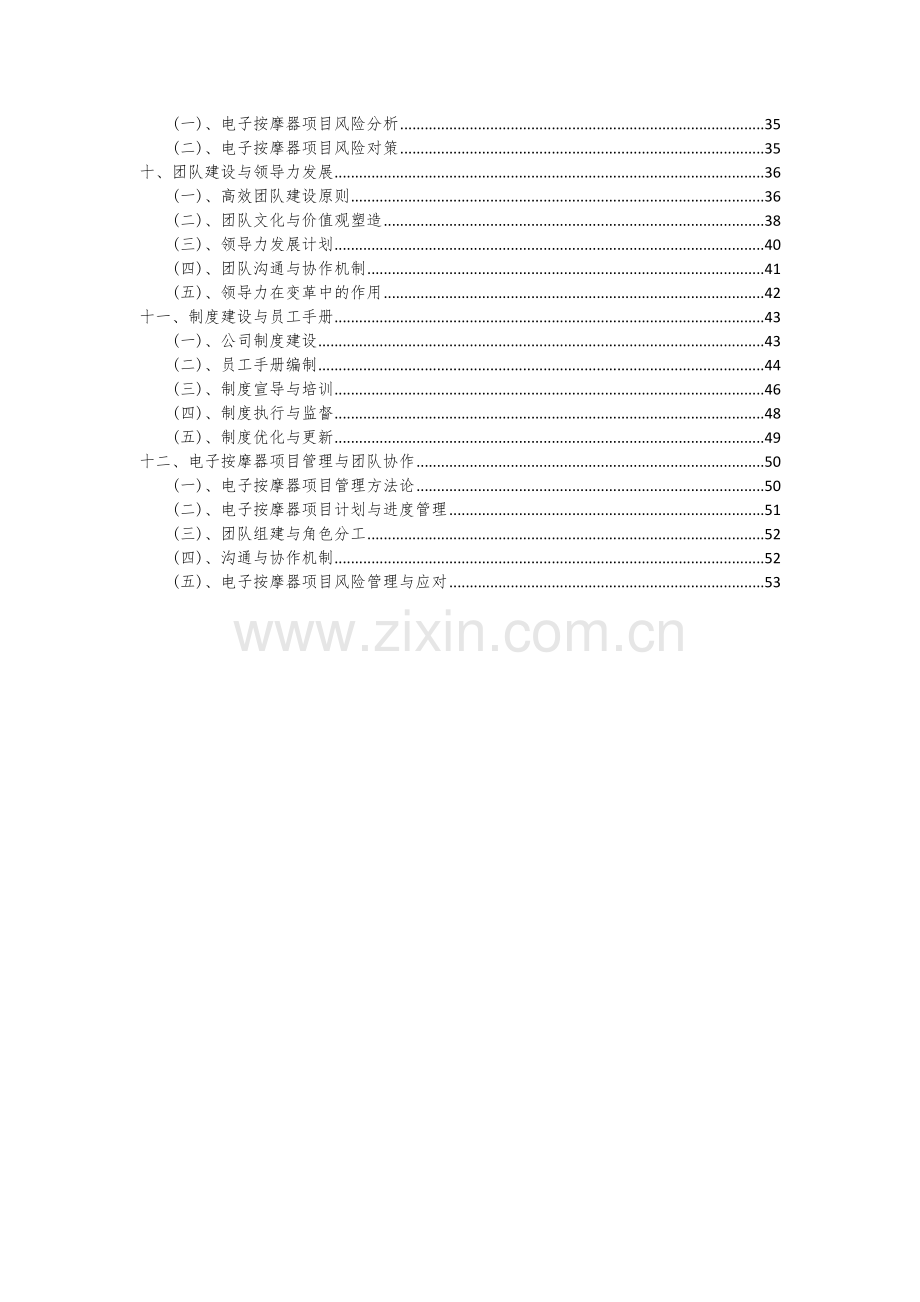 2024年电子按摩器项目深度研究分析报告.docx_第3页