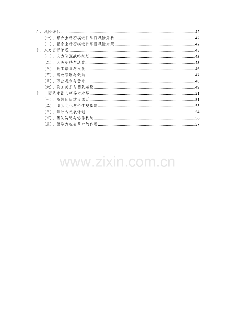 2024年铝合金精密模锻件项目可行性研究报告.docx_第3页