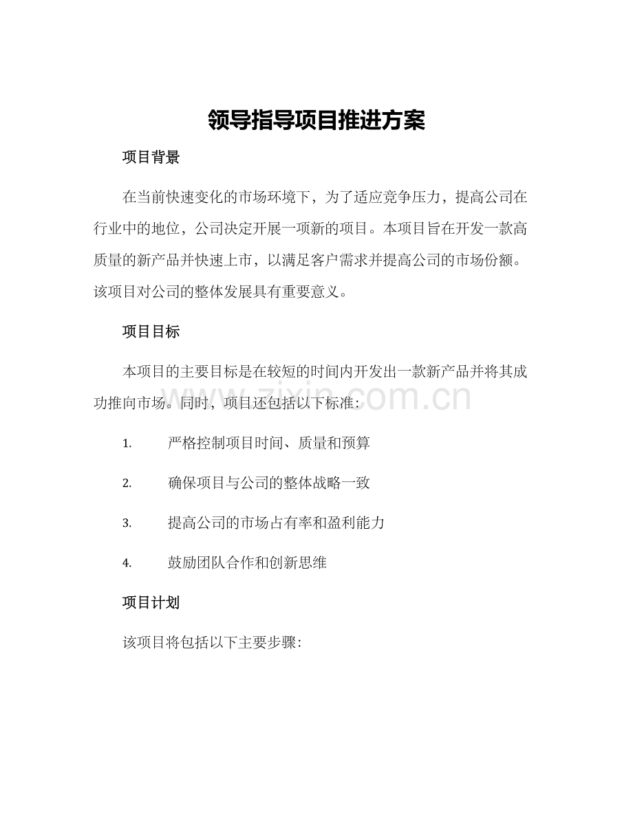 领导指导项目推进方案.docx_第1页