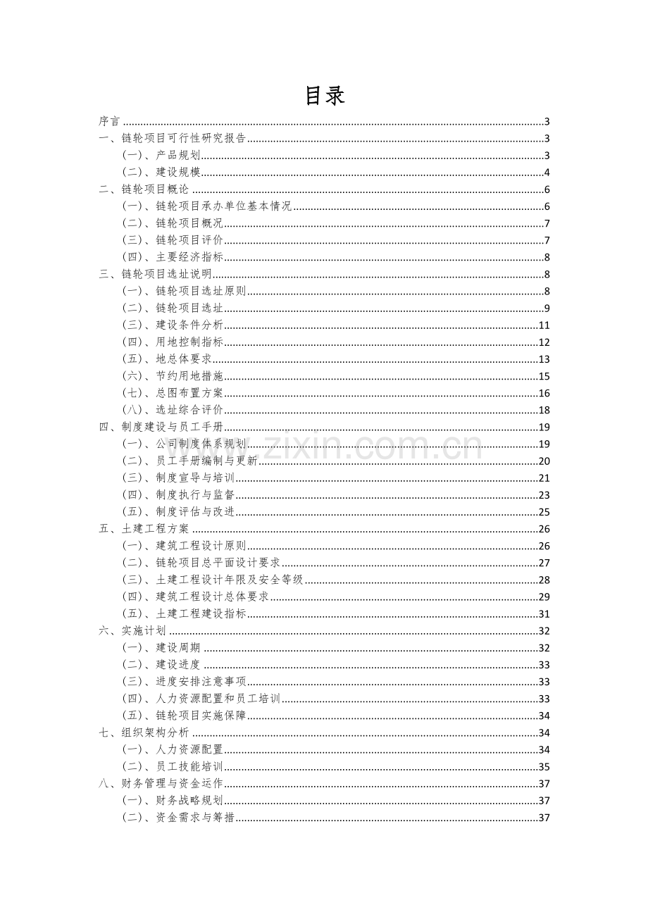 2024年链轮项目可行性研究报告.docx_第2页