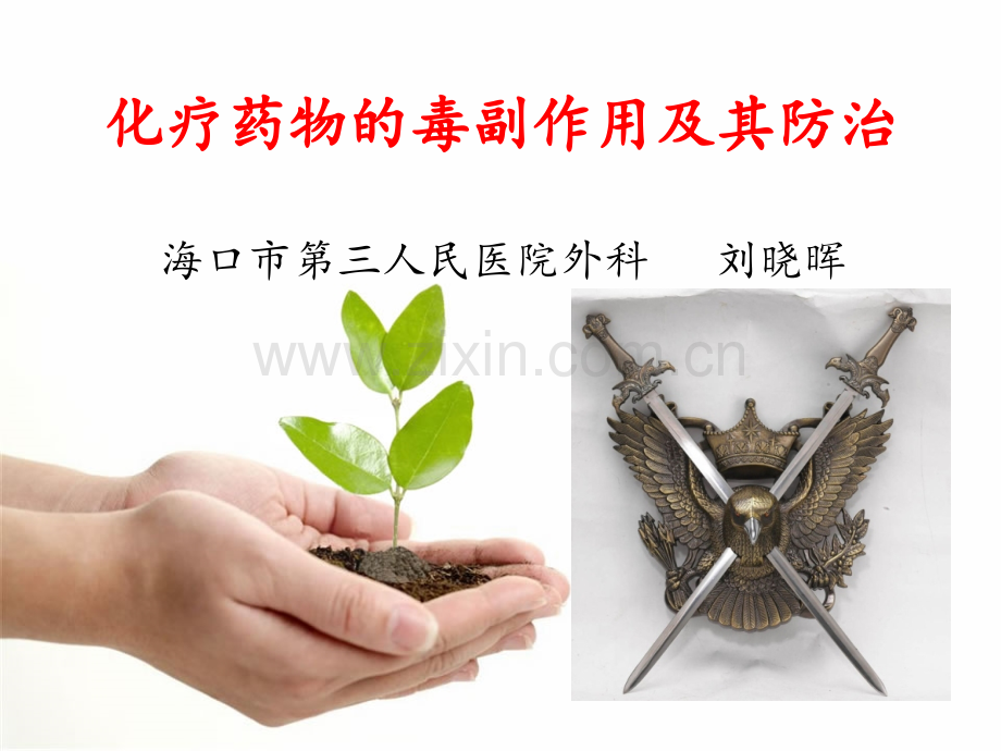 化疗药物的毒副作用分级及防治.ppt_第1页