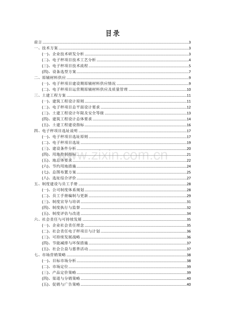 2024年电子秤项目可行性分析报告.docx_第2页