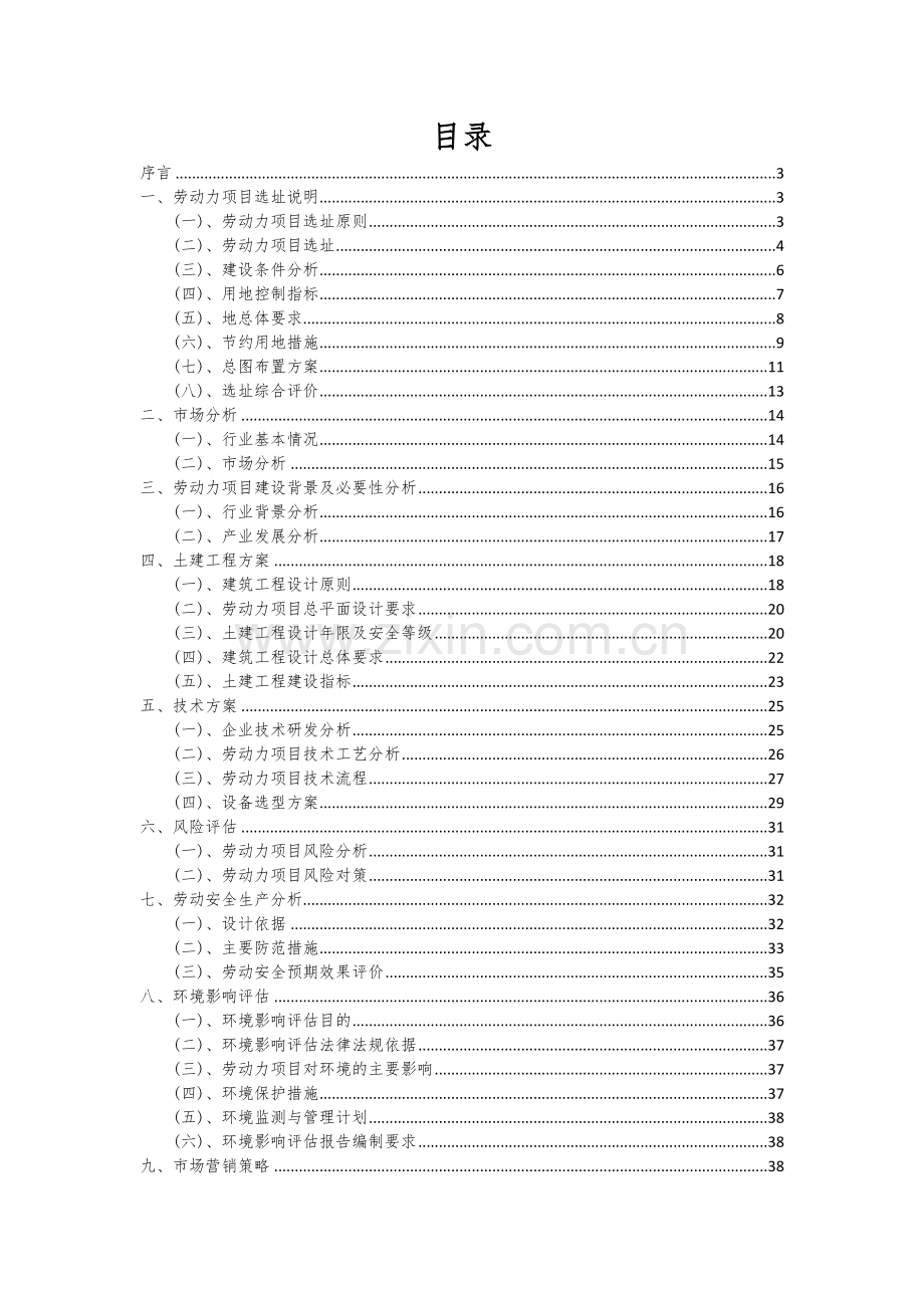 2024年劳动力项目可行性研究报告.docx_第2页