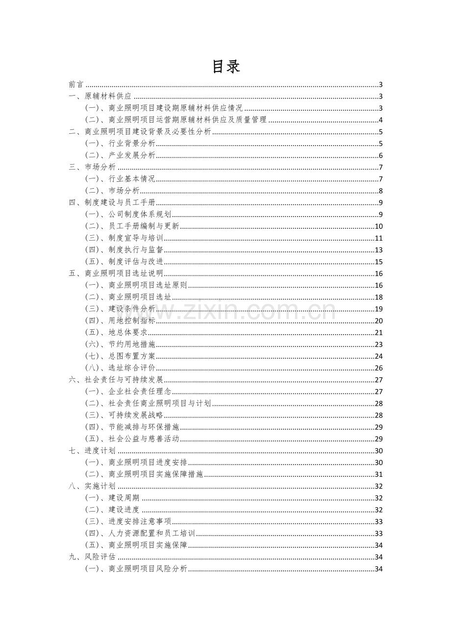 2024年商业照明项目可行性分析报告.docx_第2页