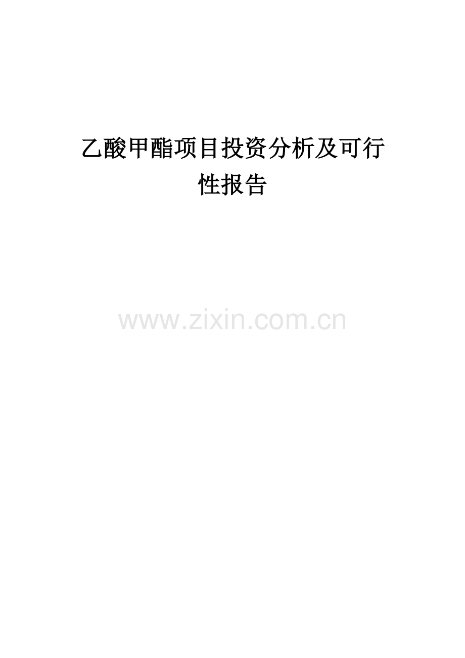 2024年乙酸甲酯项目投资分析及可行性报告.docx_第1页