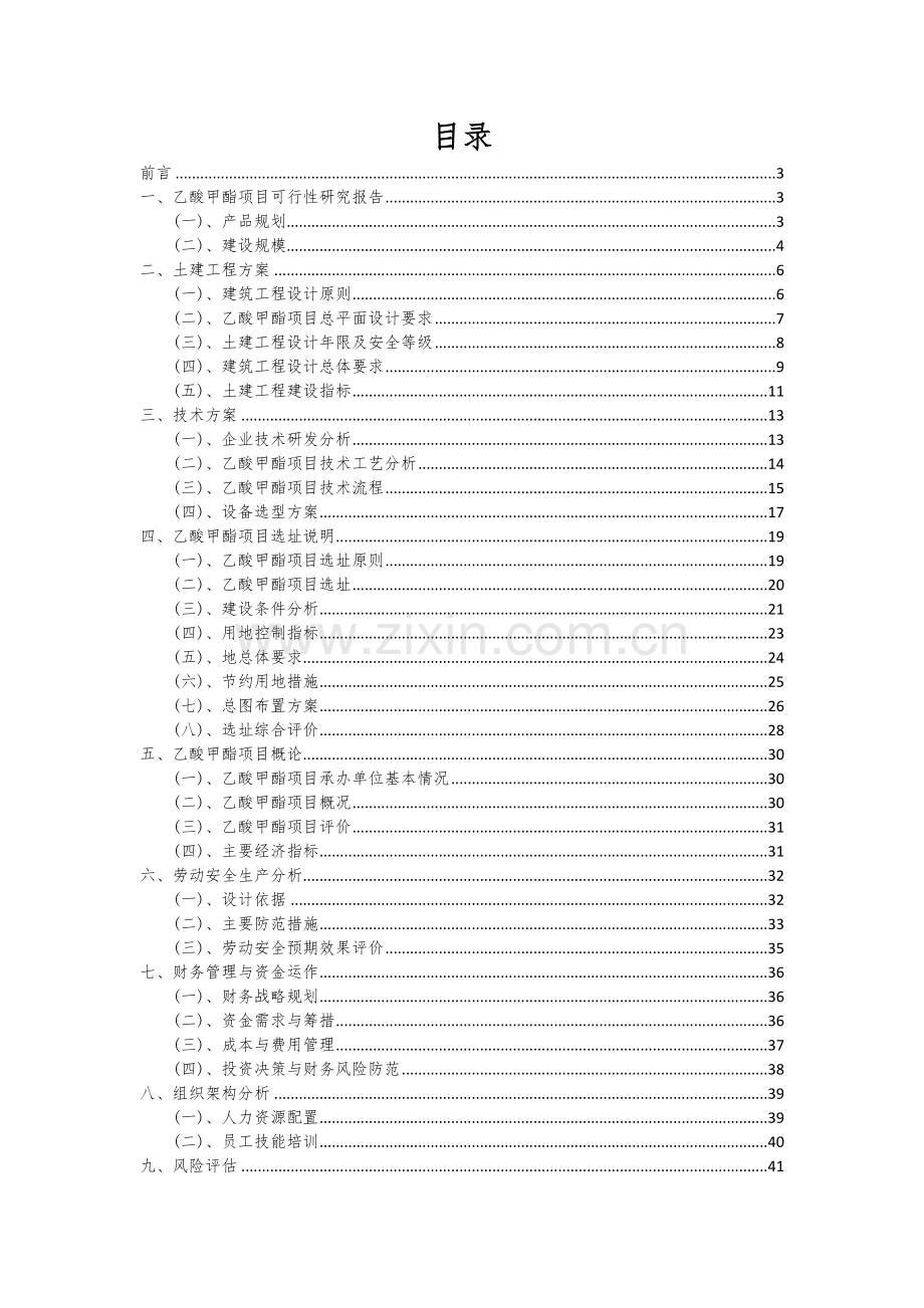 2024年乙酸甲酯项目投资分析及可行性报告.docx_第2页