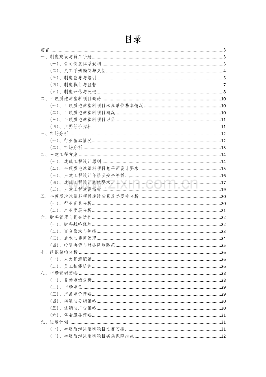 2024年半硬质泡沫塑料项目可行性研究报告.docx_第2页