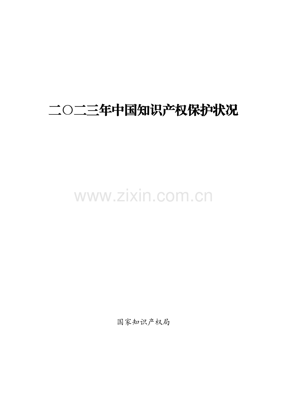 2023年中国知识产权保护状况.pdf_第1页