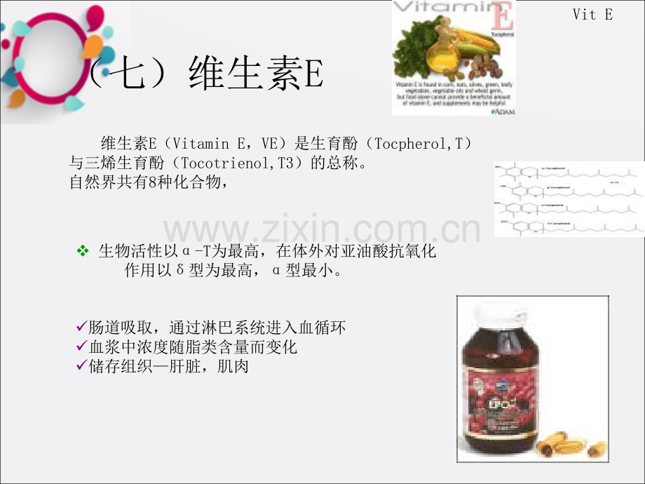 维生素E课件.ppt_第1页