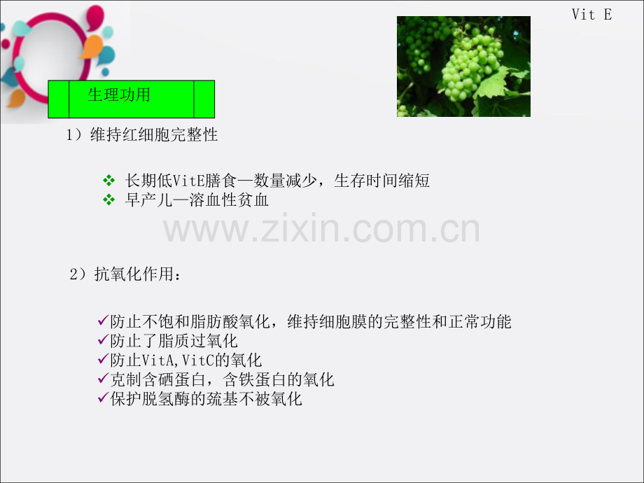 维生素E课件.ppt_第2页