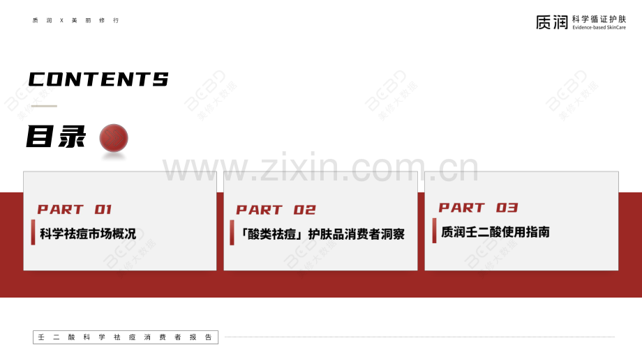 壬二酸科学祛痘消费者报告.pdf_第2页