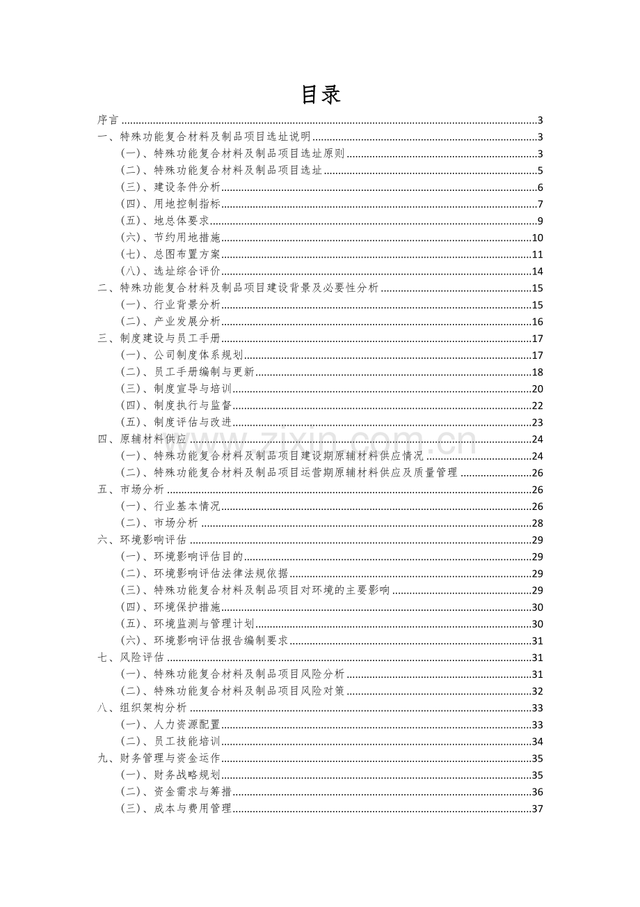 2024年特殊功能复合材料及制品项目可行性研究报告.docx_第2页