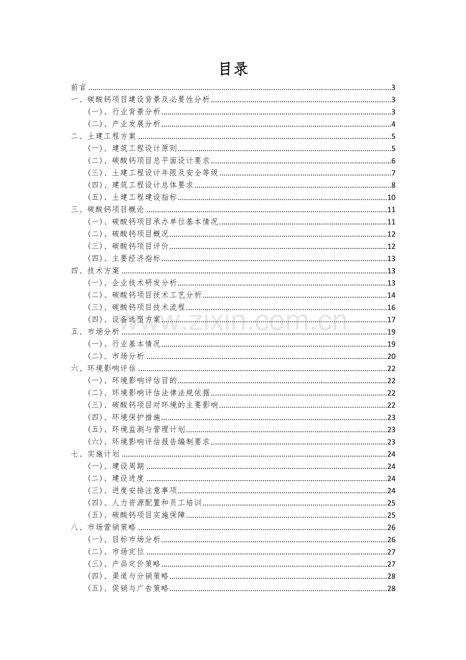 2024年碳酸钙项目深度研究分析报告.docx_第2页