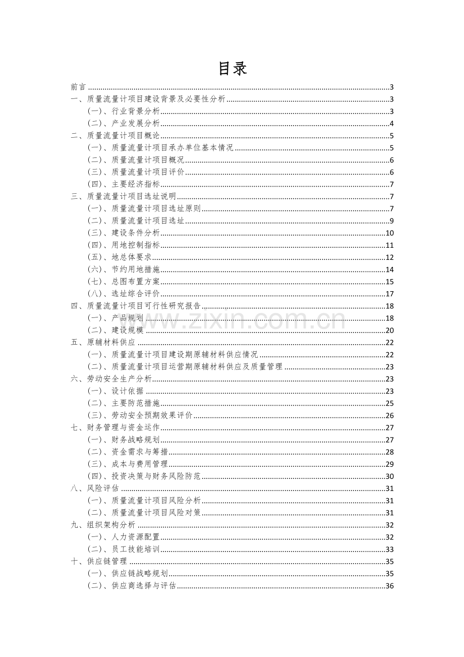 2024年质量流量计项目可行性研究报告.docx_第2页