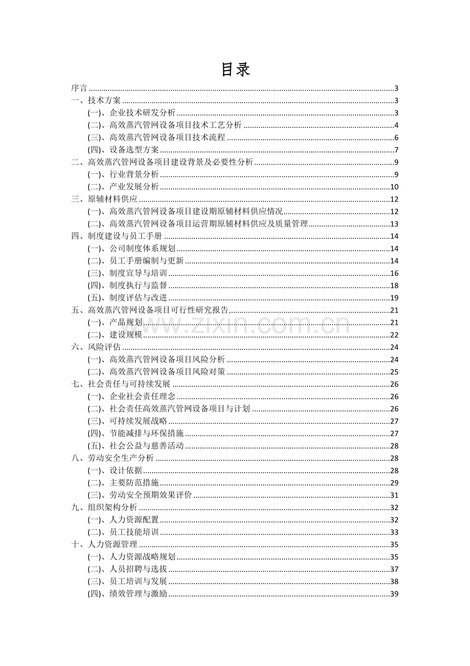 2024年高效蒸汽管网设备项目投资分析及可行性报告.docx_第2页