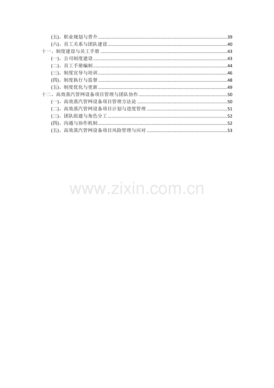 2024年高效蒸汽管网设备项目投资分析及可行性报告.docx_第3页