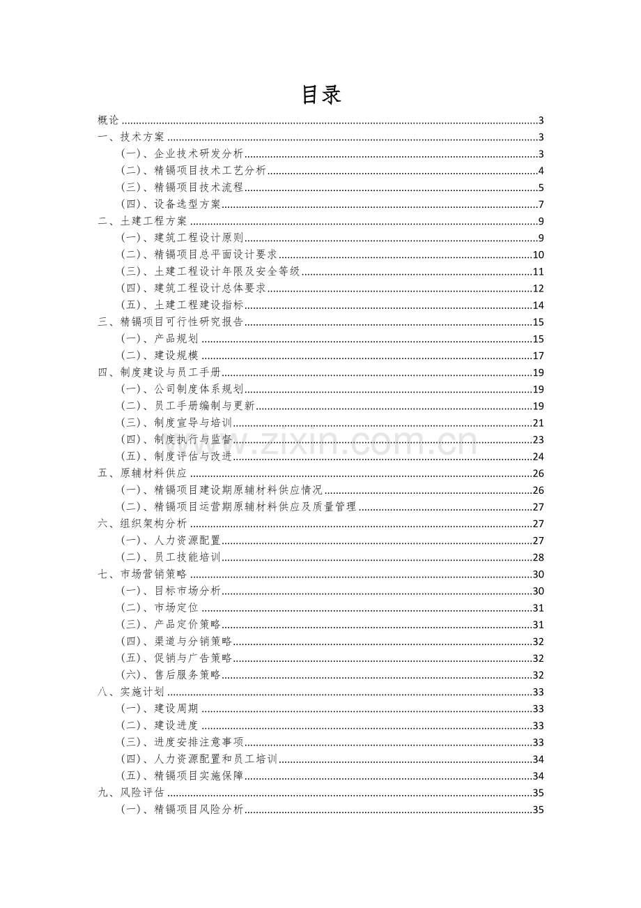 2024年精镉项目投资分析及可行性报告.docx_第2页