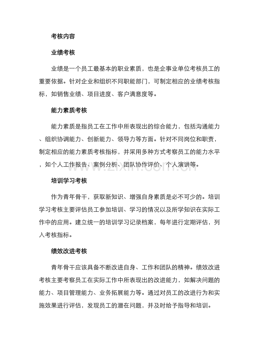 青年骨干考核方案.docx_第2页