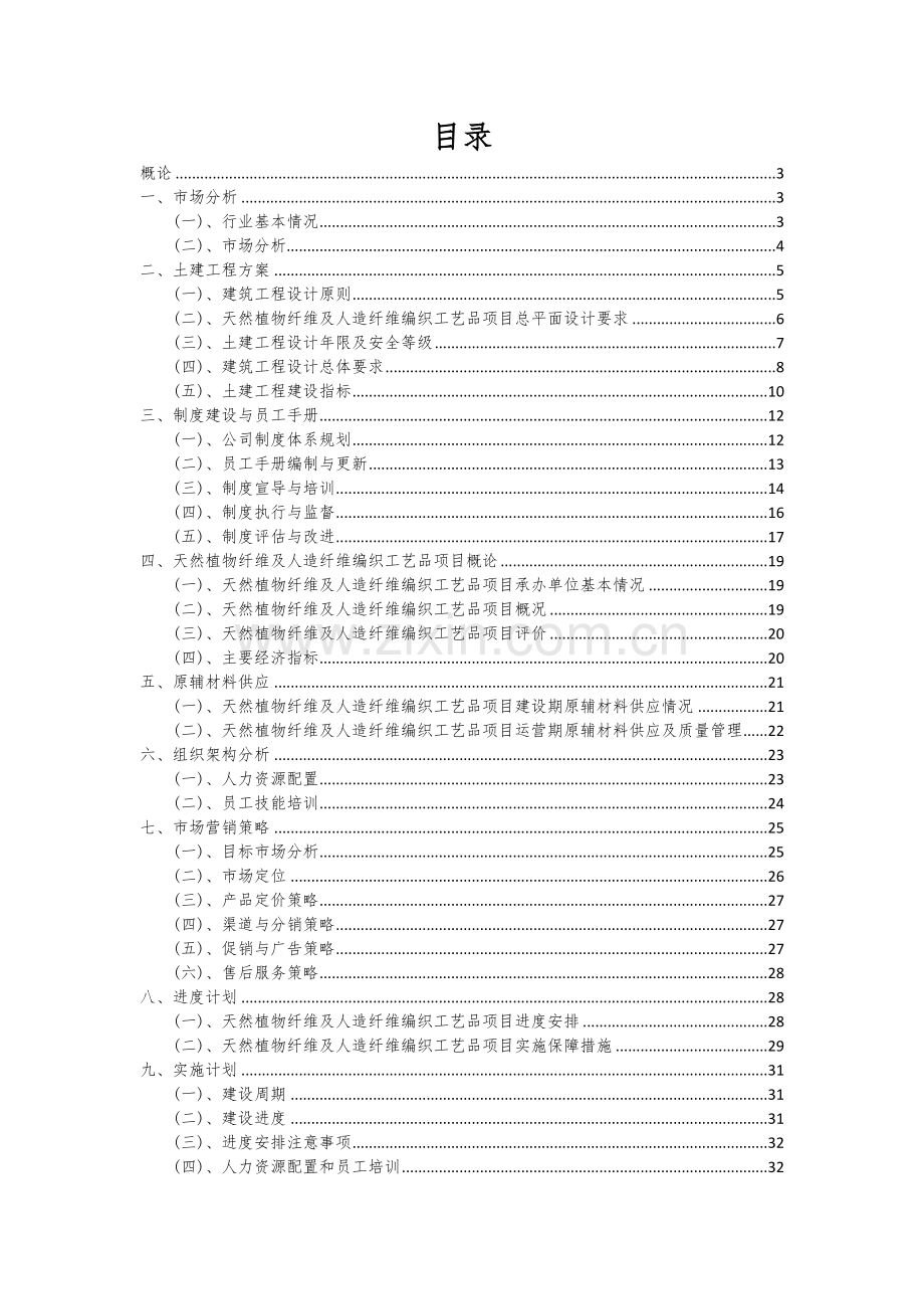 2024年天然植物纤维及人造纤维编织工艺品项目投资分析及可行性报告.docx_第2页