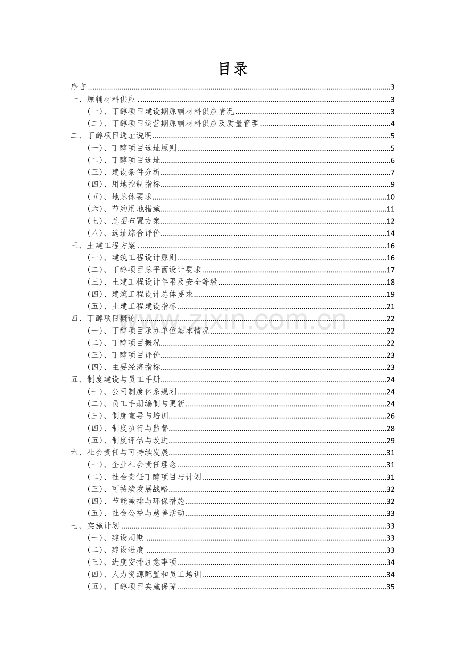 2024年丁醇项目可行性分析报告.docx_第2页