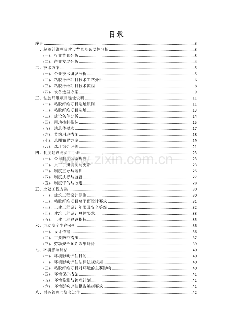 2024年粘胶纤维项目可行性分析报告.docx_第2页