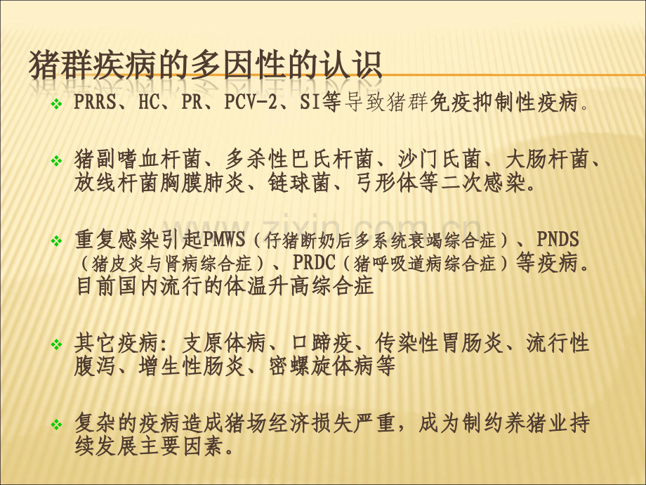 广东温氏集团养猪技术交流资料.ppt_第2页