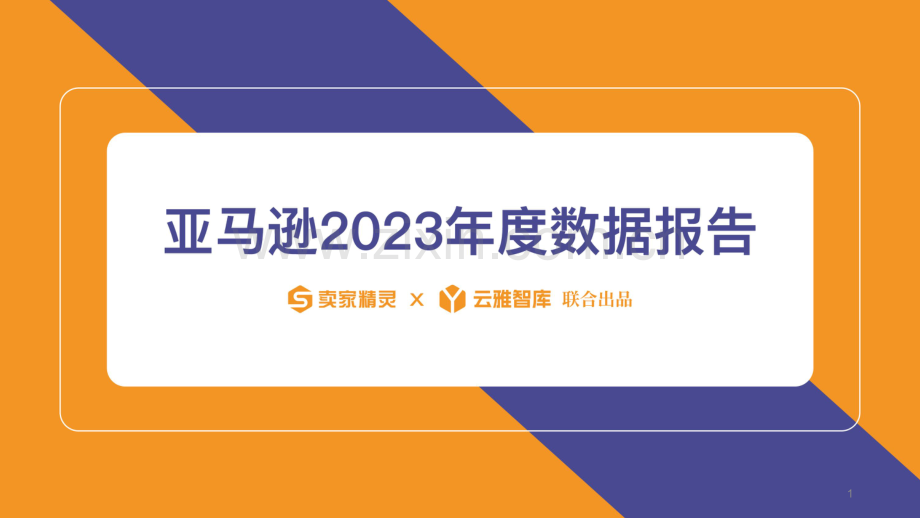 亚马逊2023年度数据报告.pdf_第1页