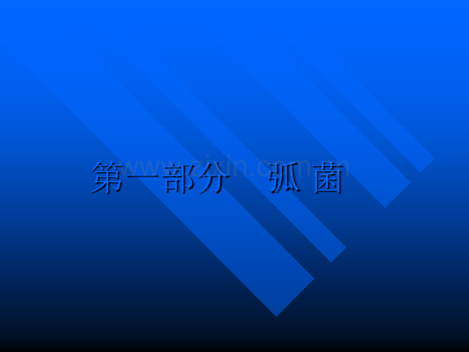 弧菌和弯曲菌.ppt_第2页