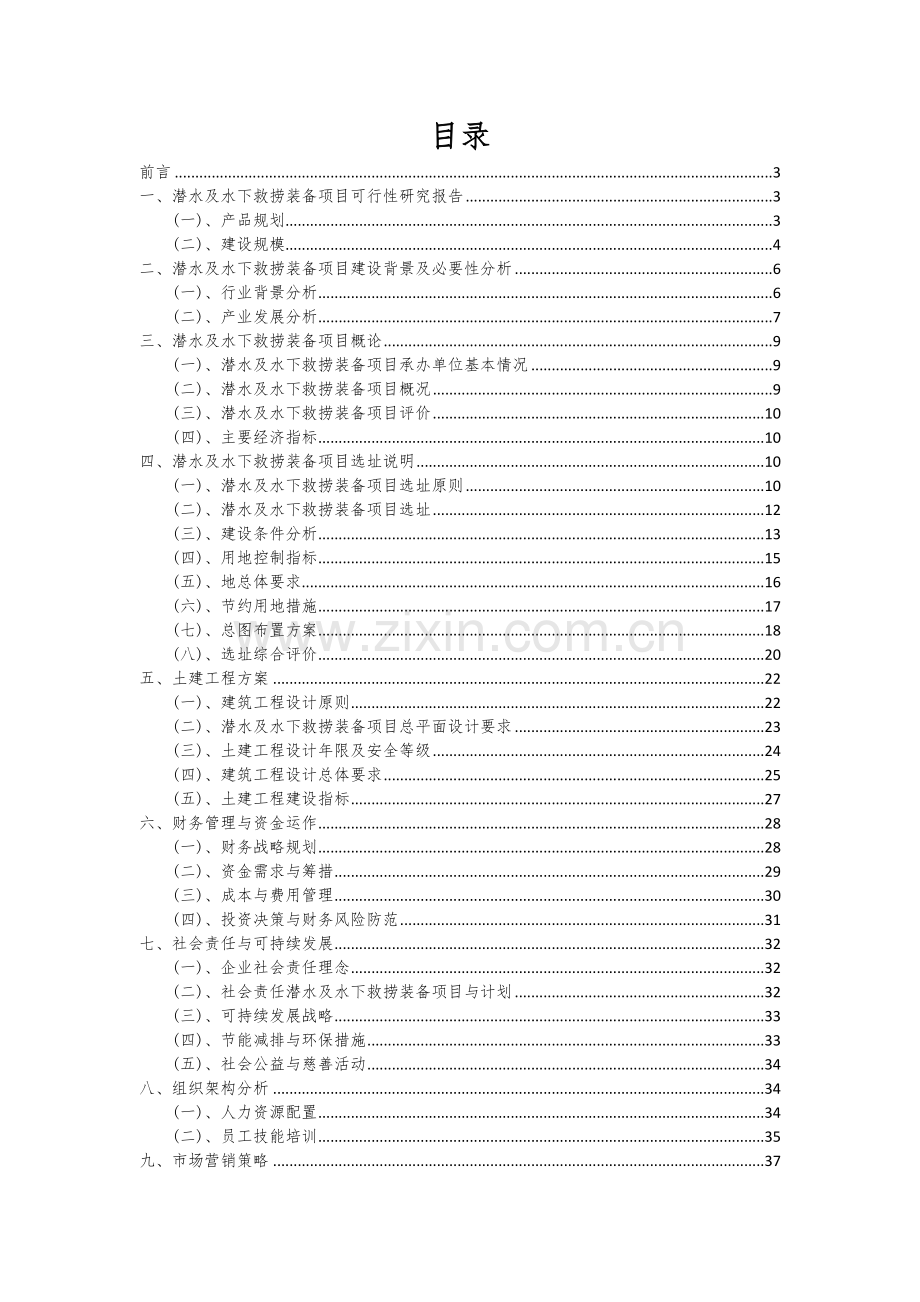 2024年潜水及水下救捞装备项目可行性研究报告.docx_第2页