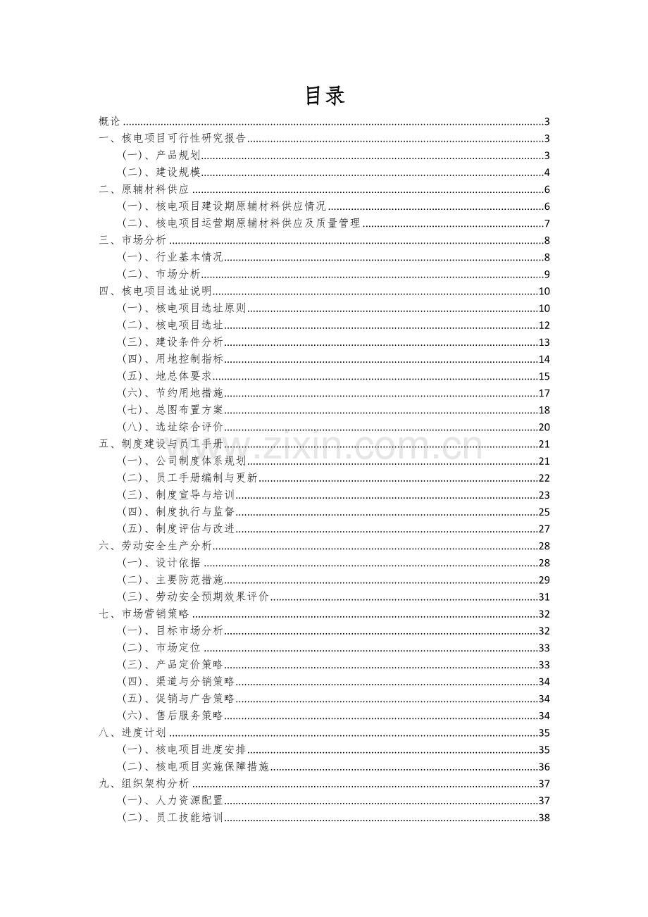 2024年核电项目可行性研究报告.docx_第2页