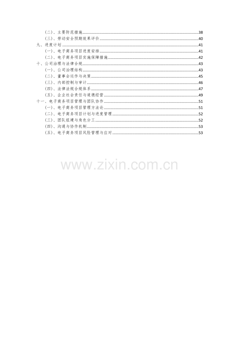 2024年电子商务项目可行性研究报告.docx_第3页