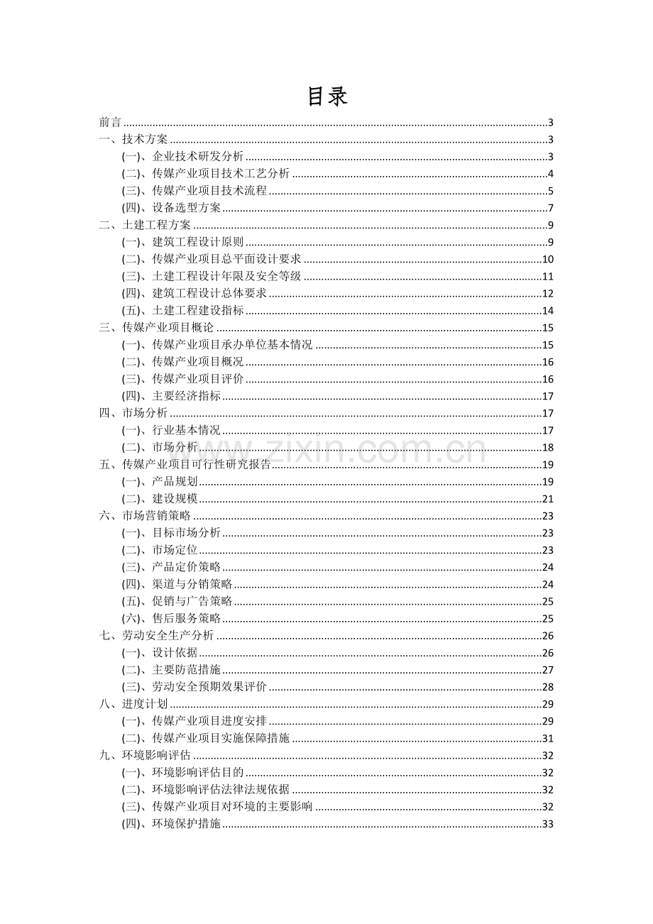 2024年传媒产业项目投资分析及可行性报告.docx_第2页