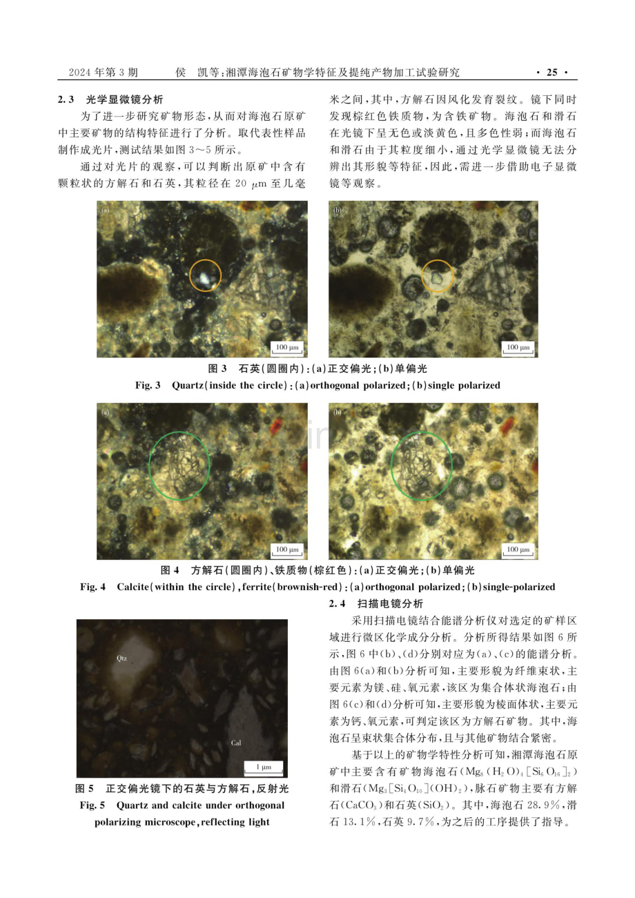 湘潭海泡石矿物学特征及提纯产物加工试验研究.pdf_第3页