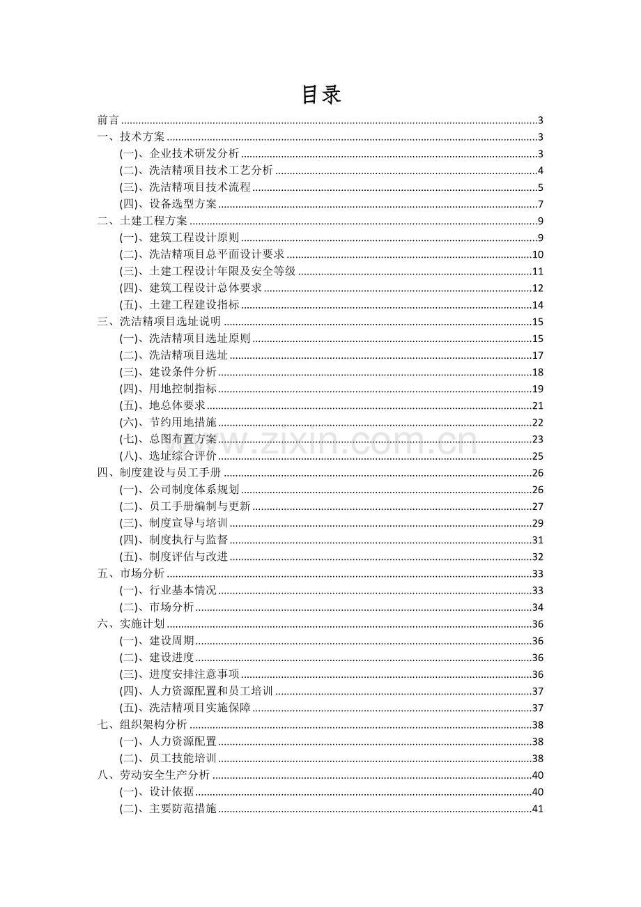 2024年洗洁精项目可行性研究报告.docx_第2页