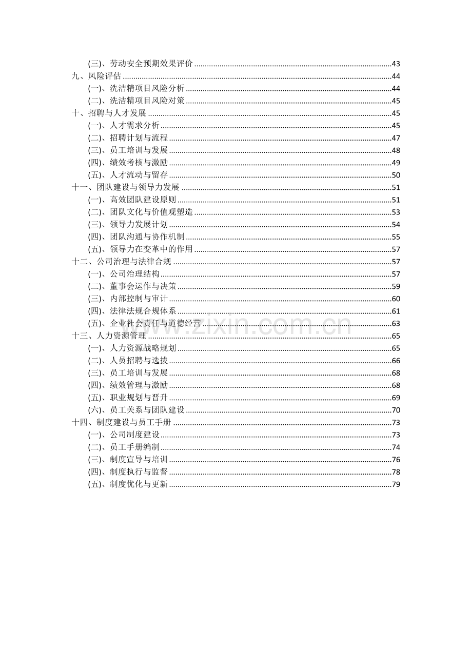 2024年洗洁精项目可行性研究报告.docx_第3页